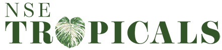 NSE Tropicals Logo